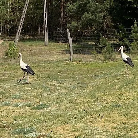 Farm stay Siedlisko Karczowka