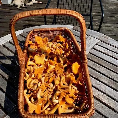 Farm stay Siedlisko Karczowka Wielen